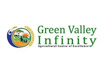 Green Valley Infinity