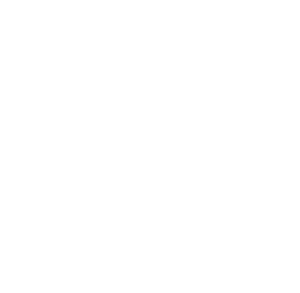Adobe Solution Partner