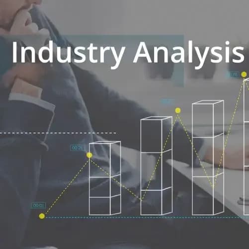 Industry Analysis